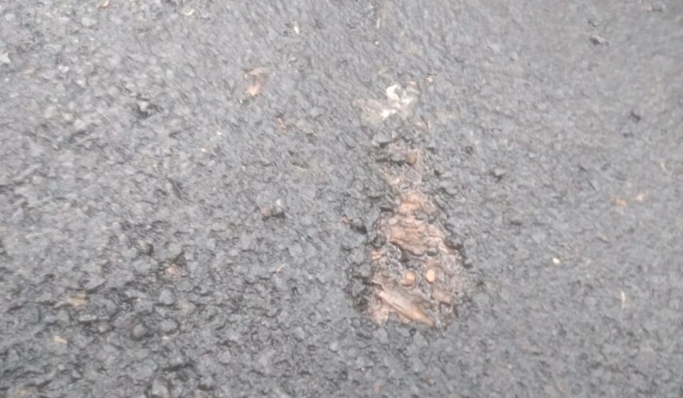 Hotmix Baru Seumur Jagung Sudah Mengelupas, Warga Panyindangan Geram: Ketebalan Diduga Tak Sampai 1 Cm, Anggaran Membengkak